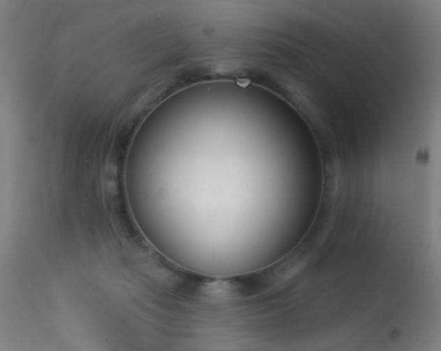 X0000113320269200909211203