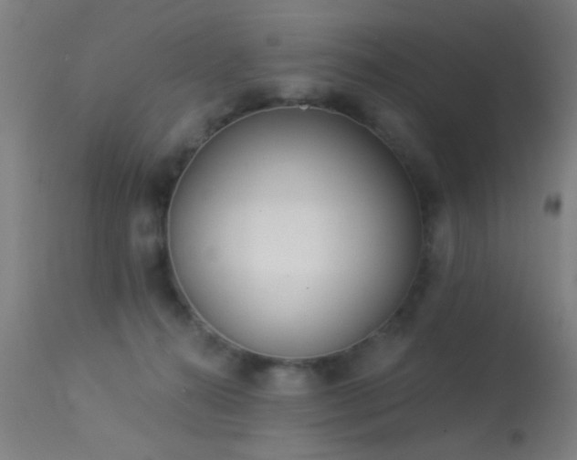 X0000113320272200909211203