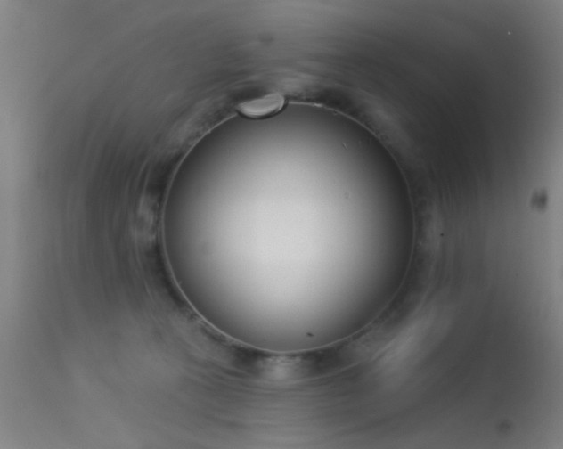 X0000113320273200909211203