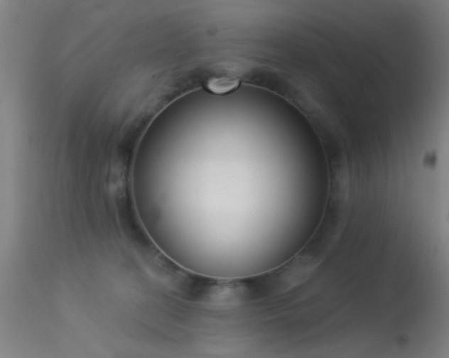 X0000113320274200909211203