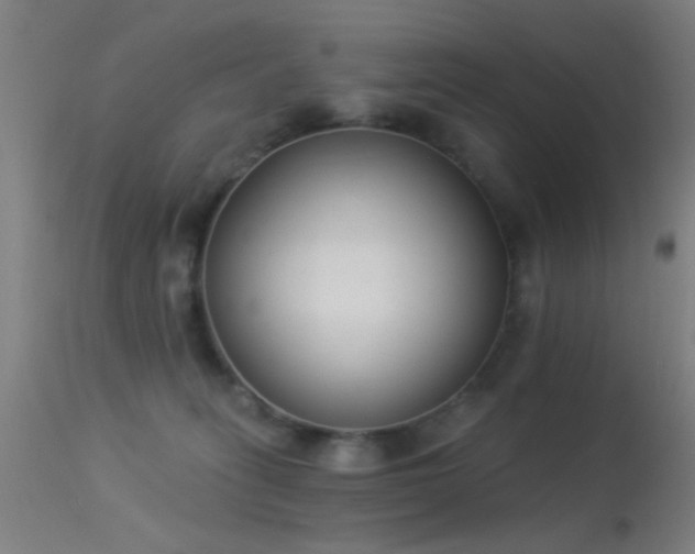 X0000113320275200909211203