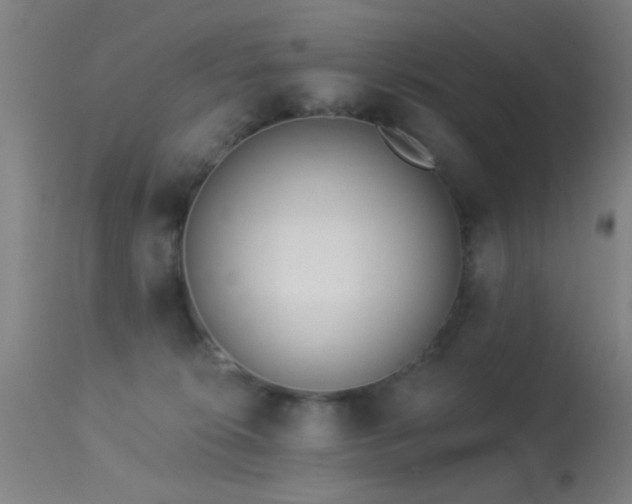 X0000113320276200909211203