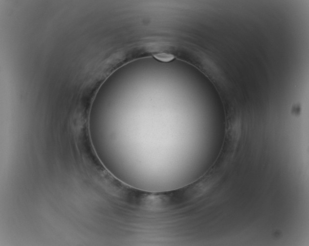 X0000113320277200909211203