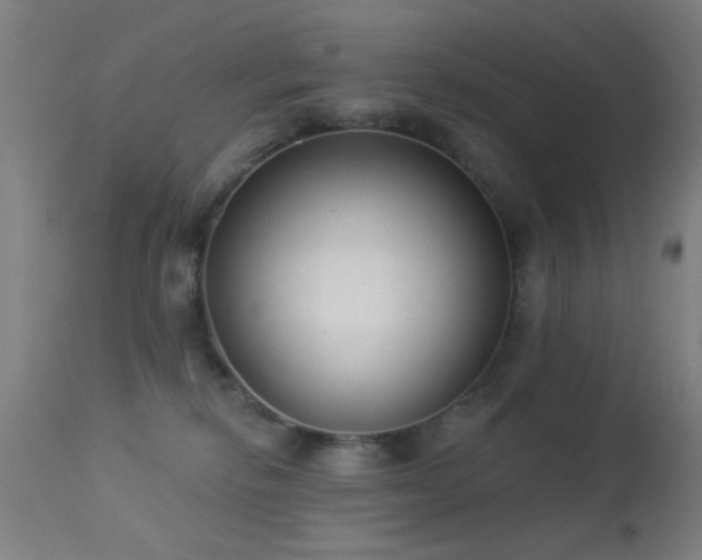 X0000113320278200909211203