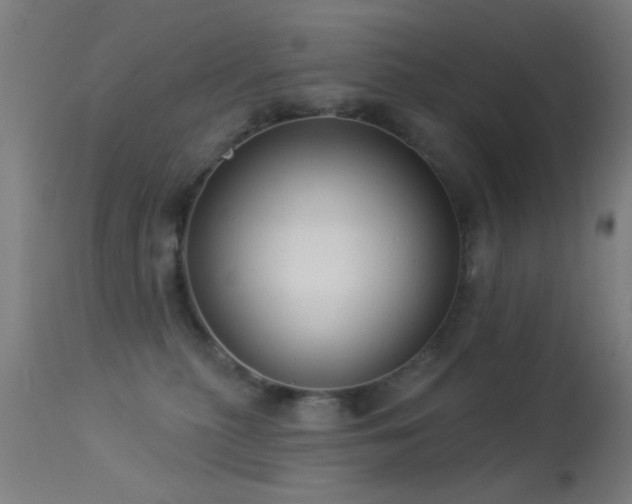 X0000113320279200909211203