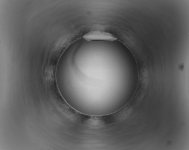 X0000113320280200909211203