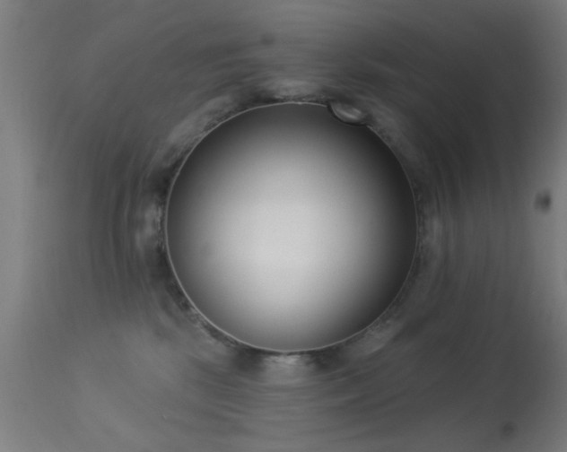 X0000113320281200909211203