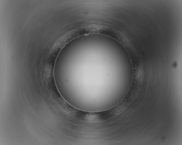 X0000113320283200909211203