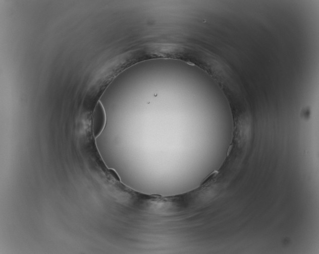 X0000113320284200909211203