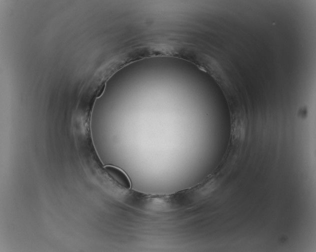 X0000113320285200909211203