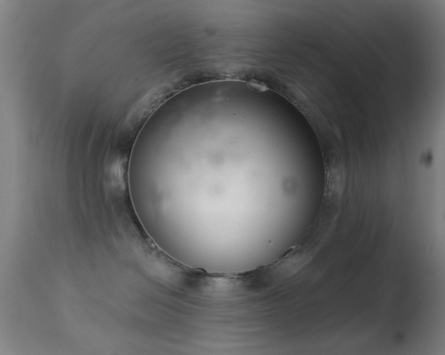 X0000113320286200909211203