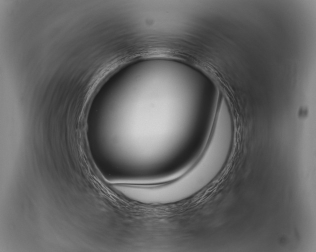 X0000113320289200909211202