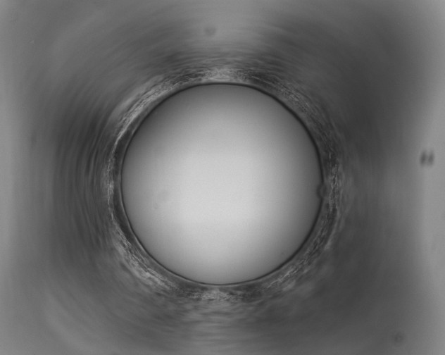 X0000113320290200909211202