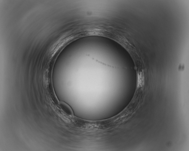 X0000113320291200909211202