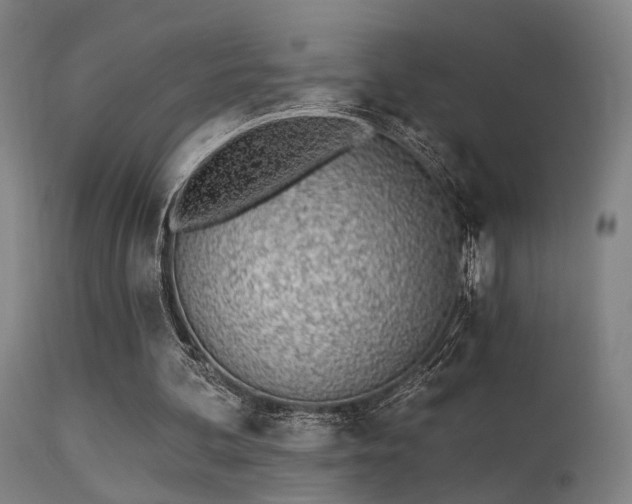 X0000113320292200909211202