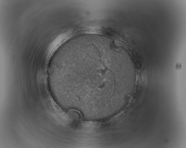 X0000113320293200909211202