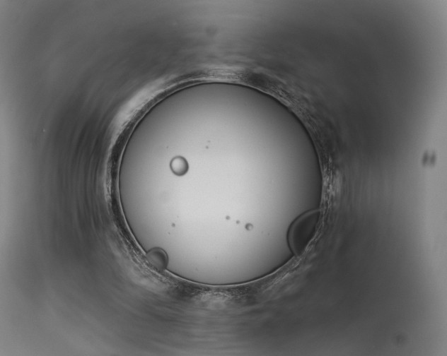 X0000113320294200909211202