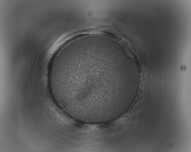 X0000113320295200909211202