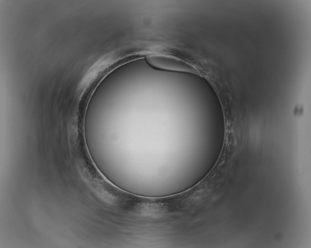 X0000113320296200909211202