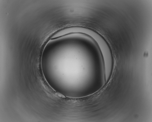 X0000113320297200909211202