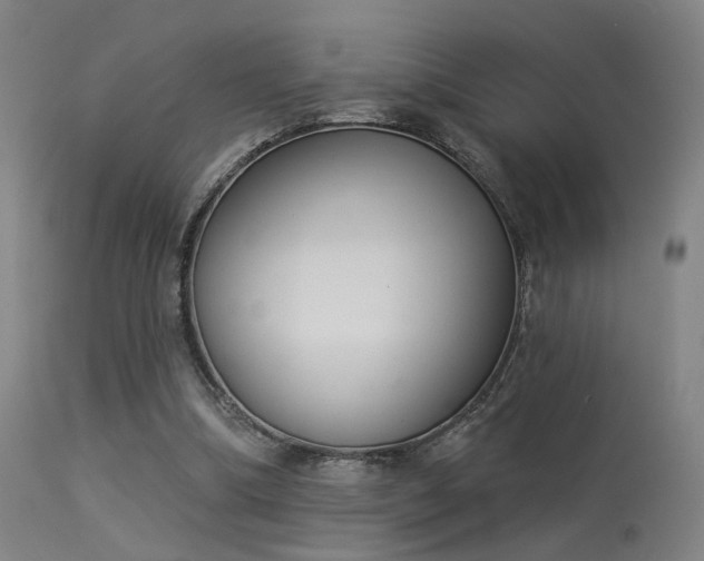 X0000113320298200909211202