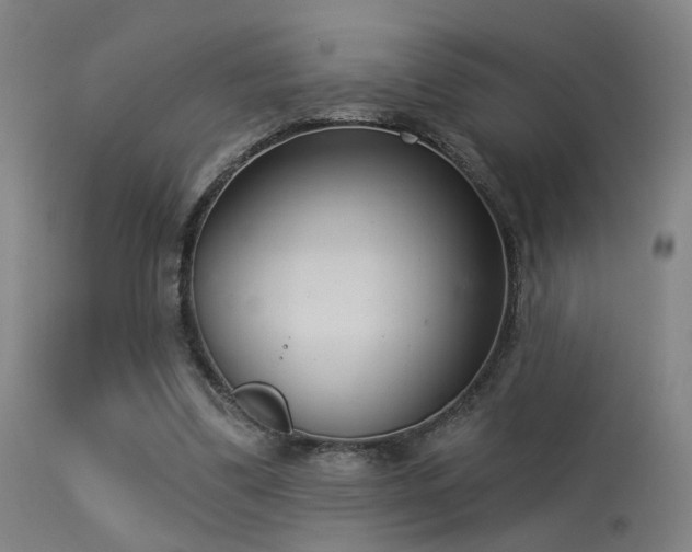 X0000113320299200909211202