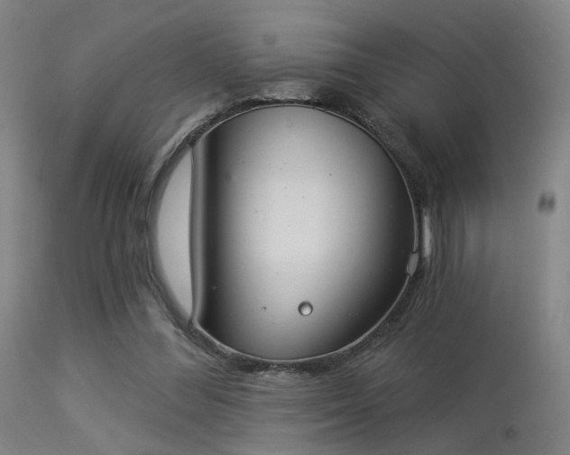 X0000113320300200909211202