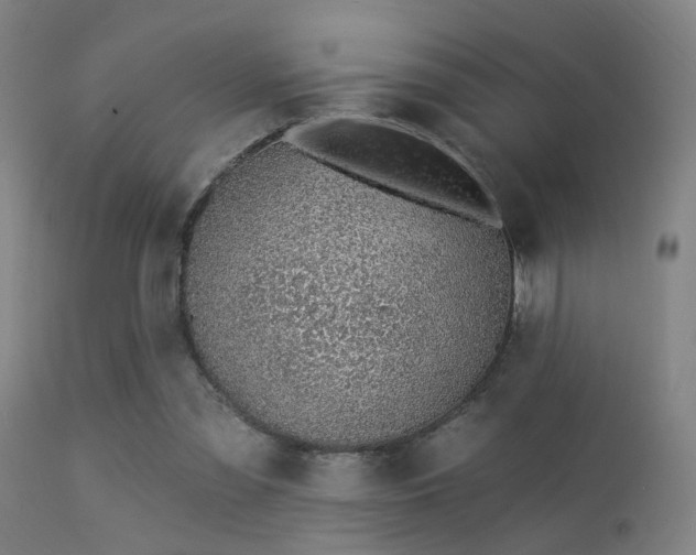 X0000113320301200909211202