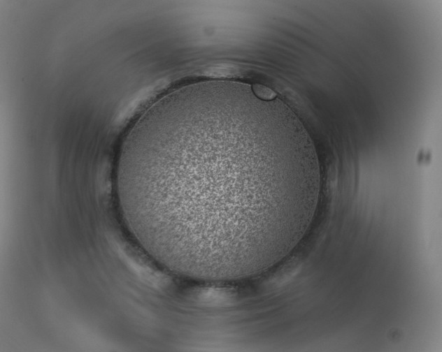 X0000113320303200909211202