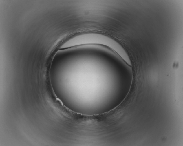 X0000113320304200909211202