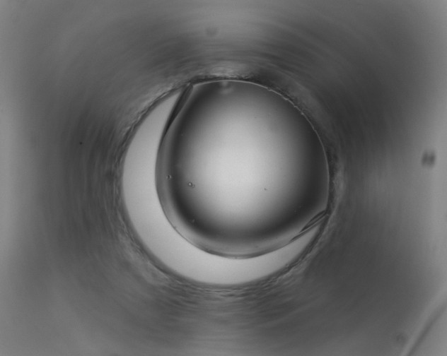 X0000113320305200909211202