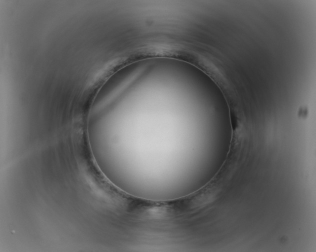 X0000113320306200909211202