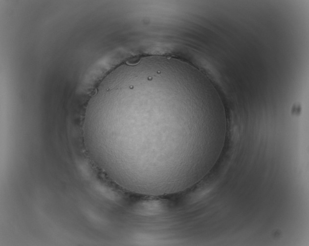 X0000113320307200909211202