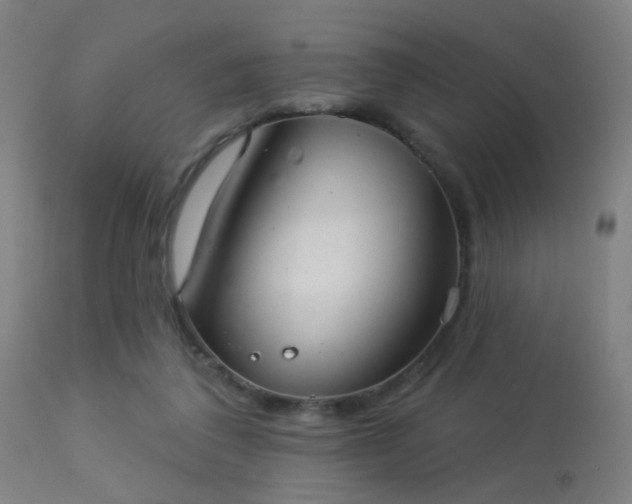 X0000113320308200909211202