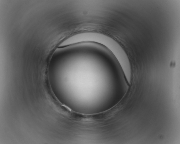 X0000113320309200909211202