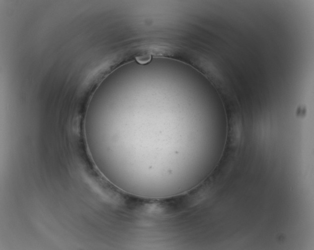 X0000113320310200909211202