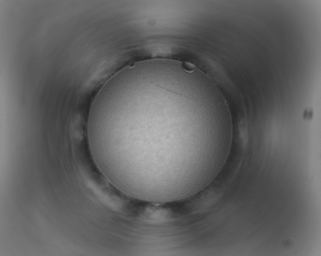 X0000113320311200909211202