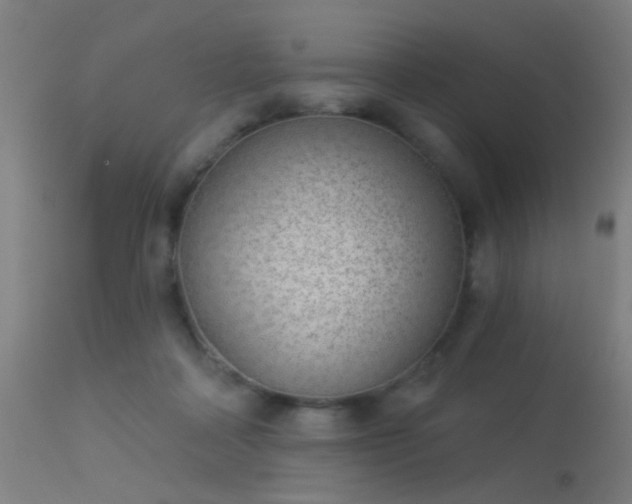 X0000113320314200909211202