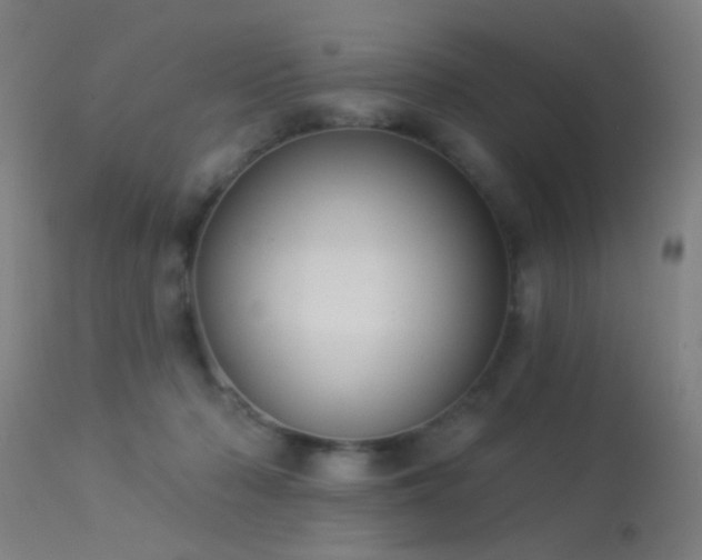 X0000113320318200909211202