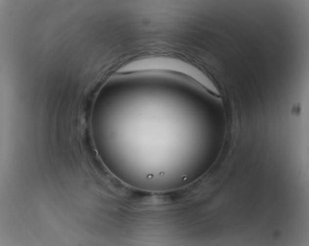 X0000113320320200909211202