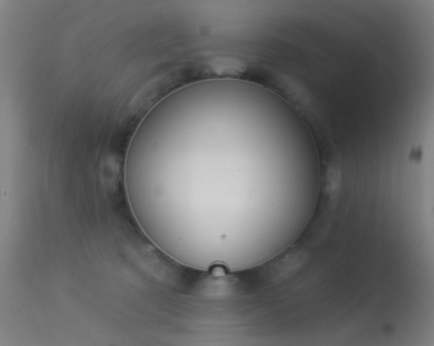 X0000113320321200909211202