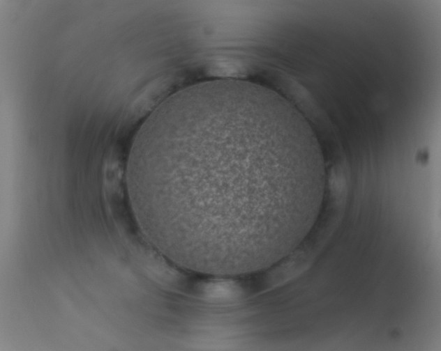 X0000113320322200909211202