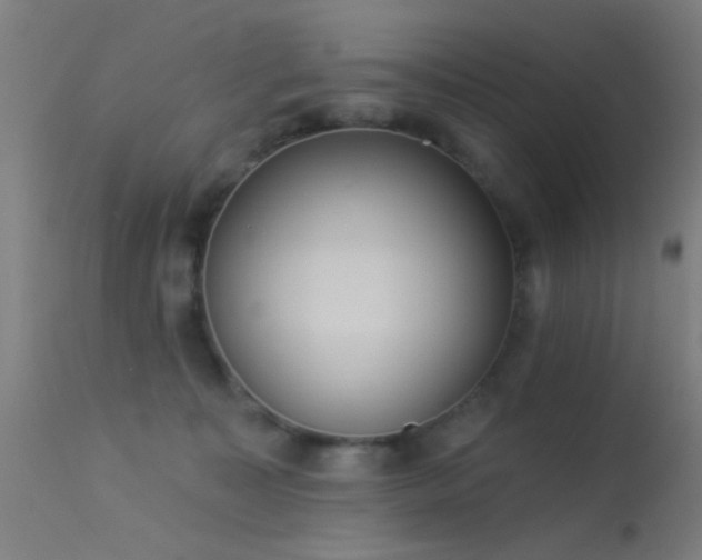 X0000113320323200909211202