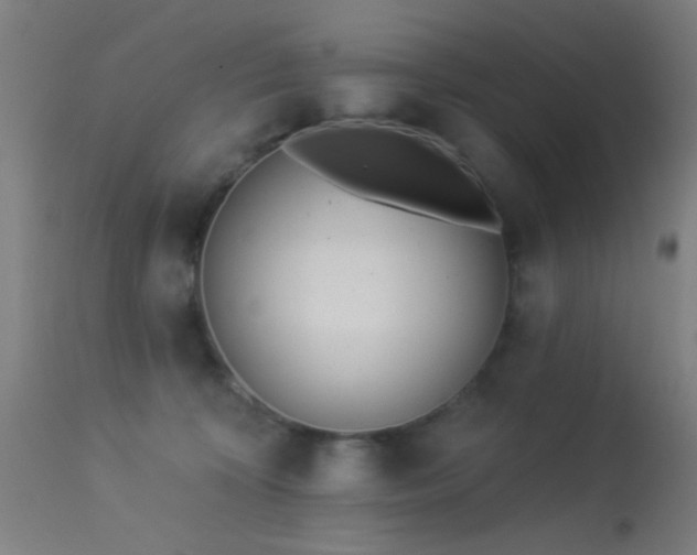 X0000113320324200909211202