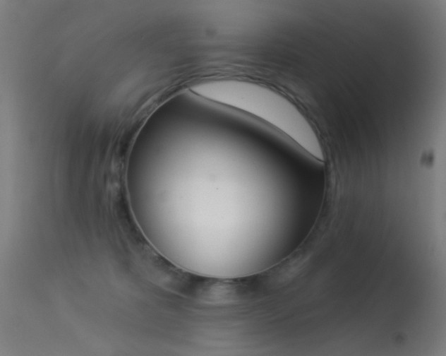 X0000113320325200909211202