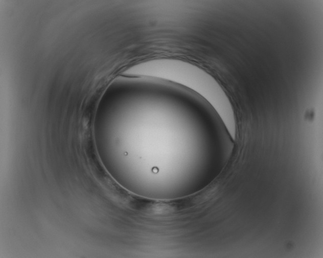 X0000113320327200909211202