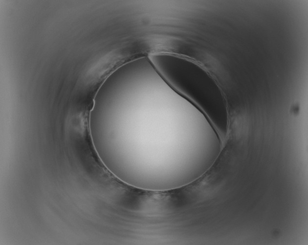 X0000113320329200909211202