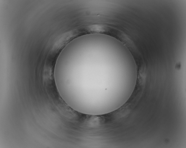 X0000113320330200909211202