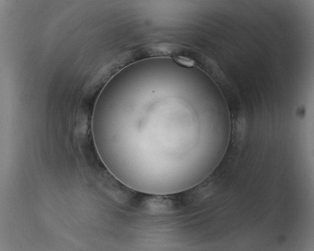 X0000113320331200909211202