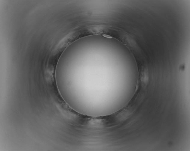 X0000113320332200909211202